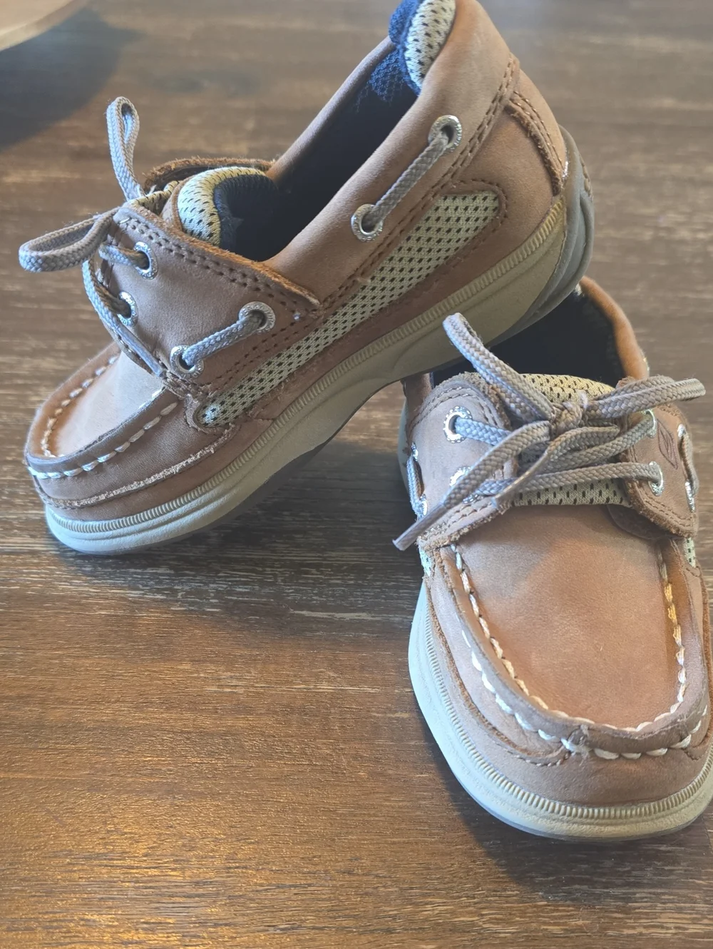 Sperry Toddler Shoes